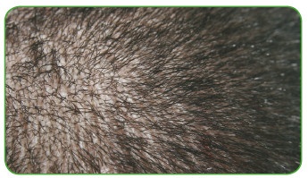 Иллюстрация к книге — Энциклопедия диагностики и лечения от А до Я [i_185.jpg]