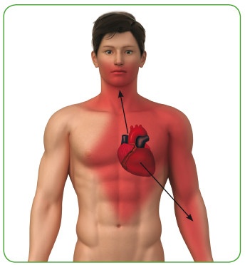 Иллюстрация к книге — Энциклопедия диагностики и лечения от А до Я [i_199.jpg]