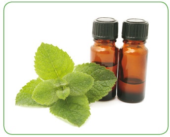 Иллюстрация к книге — Энциклопедия диагностики и лечения от А до Я [i_201.jpg]