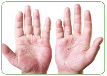 Иллюстрация к книге — Энциклопедия диагностики и лечения от А до Я [i_215.jpg]