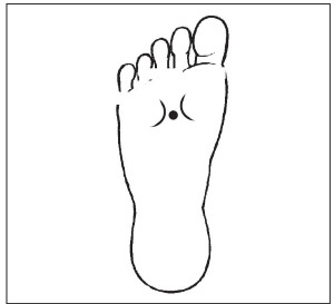 Иллюстрация к книге — Болезни от А до Я. Традиционное и нетрадиционное лечение [i_017.jpg]