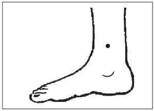 Иллюстрация к книге — Болезни от А до Я. Традиционное и нетрадиционное лечение [i_019.jpg]