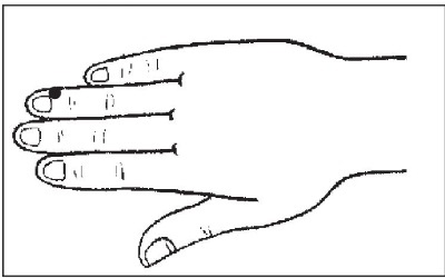 Иллюстрация к книге — Болезни от А до Я. Традиционное и нетрадиционное лечение [i_024.jpg]