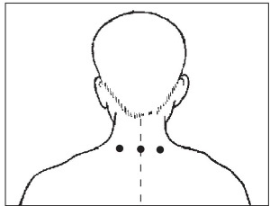 Иллюстрация к книге — Болезни от А до Я. Традиционное и нетрадиционное лечение [i_025.jpg]