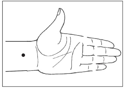 Иллюстрация к книге — Болезни от А до Я. Традиционное и нетрадиционное лечение [i_045.jpg]