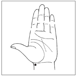 Иллюстрация к книге — Болезни от А до Я. Традиционное и нетрадиционное лечение [i_055.jpg]