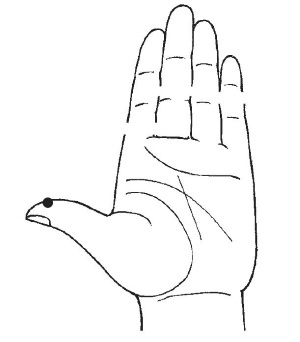 Иллюстрация к книге — Болезни от А до Я. Традиционное и нетрадиционное лечение [i_057.jpg]