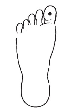 Иллюстрация к книге — Болезни от А до Я. Традиционное и нетрадиционное лечение [i_058.jpg]