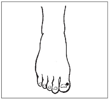 Иллюстрация к книге — Болезни от А до Я. Традиционное и нетрадиционное лечение [i_068.jpg]