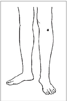 Иллюстрация к книге — Болезни от А до Я. Традиционное и нетрадиционное лечение [i_070.jpg]