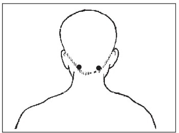Иллюстрация к книге — Болезни от А до Я. Традиционное и нетрадиционное лечение [i_076.jpg]