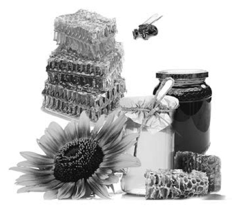 Иллюстрация к книге — Целительная сила меда [i_001.jpg]