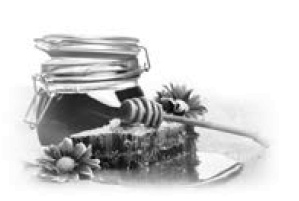 Иллюстрация к книге — Целительная сила меда [i_002.jpg]