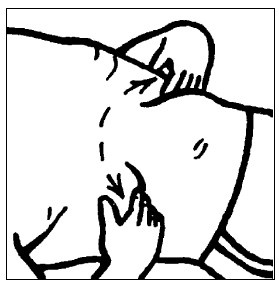 Иллюстрация к книге — Секреты мужского здоровья. Слабые места сильного пола [i_014.jpg]