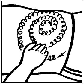 Иллюстрация к книге — Секреты мужского здоровья. Слабые места сильного пола [i_015.jpg]