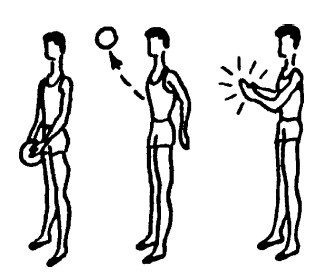 Иллюстрация к книге — Секреты мужского здоровья. Слабые места сильного пола [i_026.jpg]