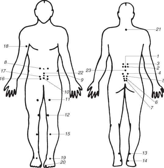 Иллюстрация к книге — Секреты мужского здоровья. Слабые места сильного пола [i_049.jpg]