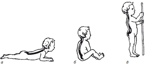 Иллюстрация к книге — Как избавиться от боли в спине [i_006.jpg]