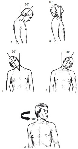 Иллюстрация к книге — Как избавиться от боли в спине [i_011.jpg]
