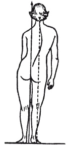 Иллюстрация к книге — Как избавиться от боли в спине [i_030.jpg]