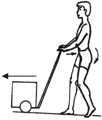 Иллюстрация к книге — Как избавиться от боли в спине [i_057.jpg]