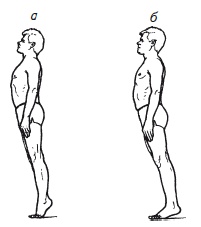 Иллюстрация к книге — Как избавиться от боли в спине [i_063.jpg]