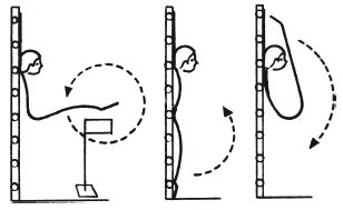 Иллюстрация к книге — Как избавиться от боли в спине [i_114.jpg]