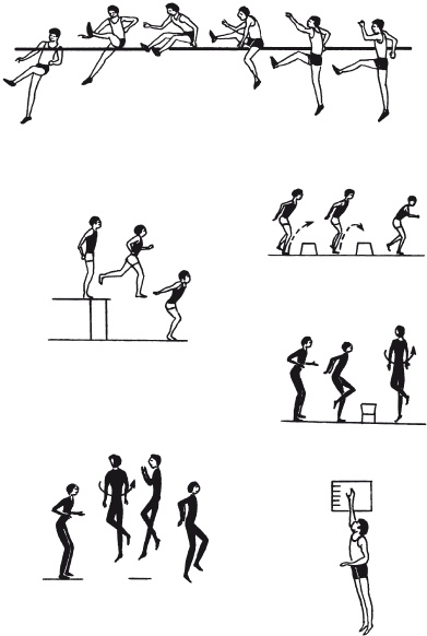 Иллюстрация к книге — Как избавиться от боли в спине [i_126.jpg]