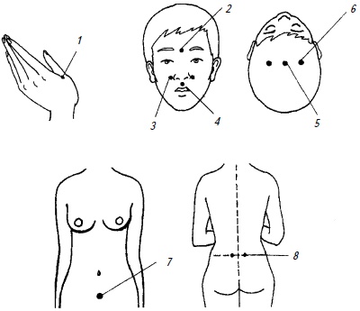 Иллюстрация к книге — Гимнастика для женщин [i_014.jpg]