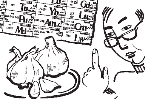 Иллюстрация к книге — Чеснок для лечения и очищения [i_004.jpg]