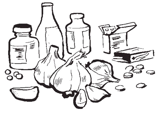 Иллюстрация к книге — Чеснок для лечения и очищения [i_008.jpg]