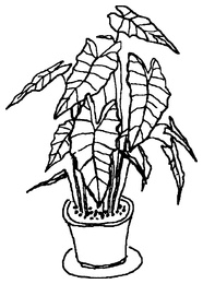 Иллюстрация к книге — Мухомор-целитель и другие ядовитые лекари [i_006.jpg]