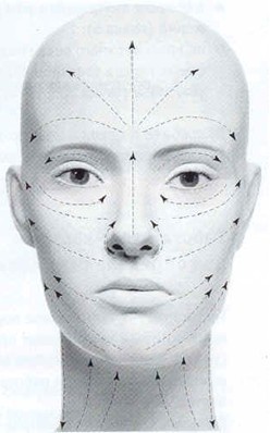 Иллюстрация к книге — Похудеть? Не проблема! [i_002.jpg]