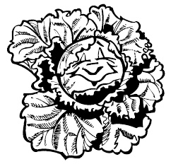 Иллюстрация к книге — 365 секретов для красоты и здоровья женщины [i_034.jpg]