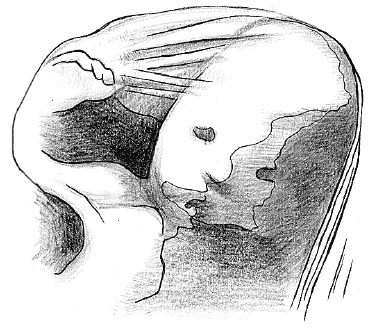 Иллюстрация к книге — Счастливое материнство. Как родить здорового и умного ребенка [autogen_ebook_id17.jpg]