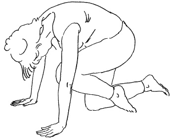 Иллюстрация к книге — Счастливое материнство. Как родить здорового и умного ребенка [autogen_ebook_id48.jpg]