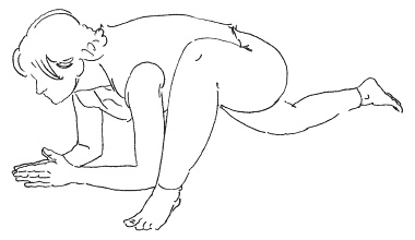 Иллюстрация к книге — Счастливое материнство. Как родить здорового и умного ребенка [autogen_ebook_id50.jpg]