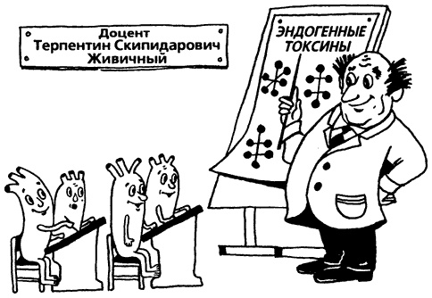 Иллюстрация к книге — Капилляротерапия излечивает 95% болезней [i_008.jpg]