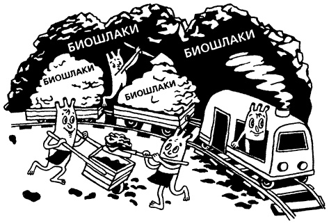 Иллюстрация к книге — Капилляротерапия излечивает 95% болезней [i_009.jpg]