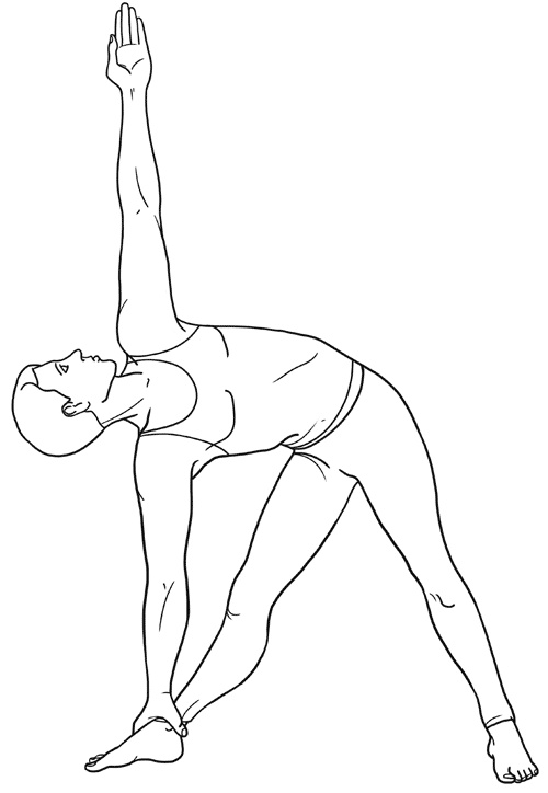 Иллюстрация к книге — Работа с триггерными точками: расслабляем мышцы, избавляемся от боли [_07.jpg]