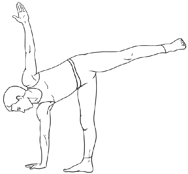 Иллюстрация к книге — Работа с триггерными точками: расслабляем мышцы, избавляемся от боли [_09.jpg]