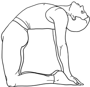 Иллюстрация к книге — Работа с триггерными точками: расслабляем мышцы, избавляемся от боли [_15.jpg]