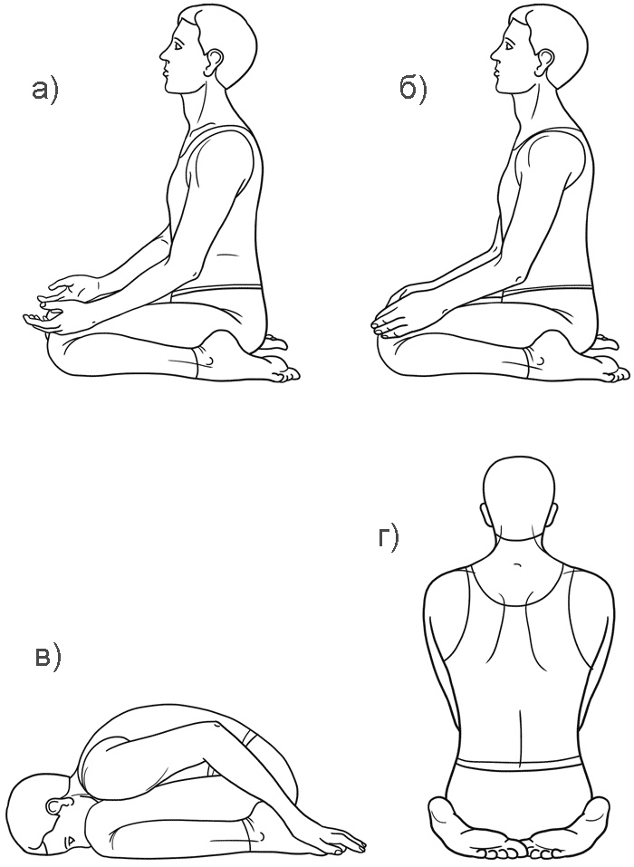 Иллюстрация к книге — Работа с триггерными точками: расслабляем мышцы, избавляемся от боли [_17.jpg]