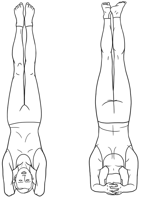 Иллюстрация к книге — Работа с триггерными точками: расслабляем мышцы, избавляемся от боли [_26.jpg]