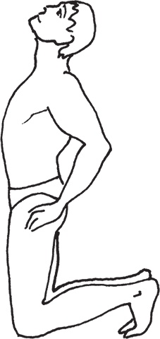 Иллюстрация к книге — Тибетский путь исцеления. Основные приемы [autogen_ebook_id5.jpg]