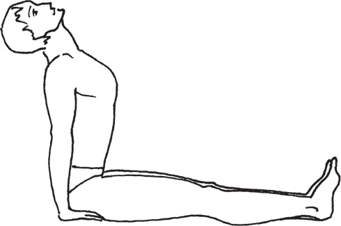 Иллюстрация к книге — Тибетский путь исцеления. Основные приемы [autogen_ebook_id7.jpg]