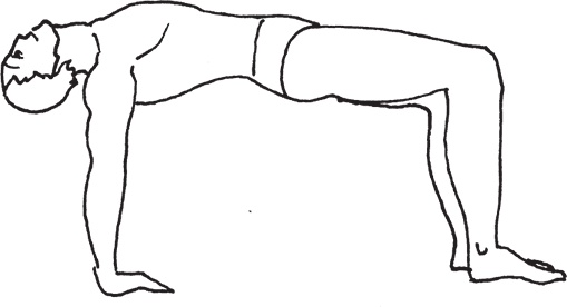 Иллюстрация к книге — Тибетский путь исцеления. Основные приемы [autogen_ebook_id8.jpg]