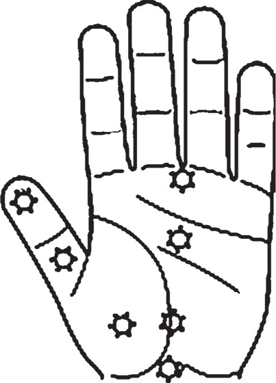 Иллюстрация к книге — Суджок - исцеляющий самомассаж. Основные приемы [autogen_ebook_id22.jpg]