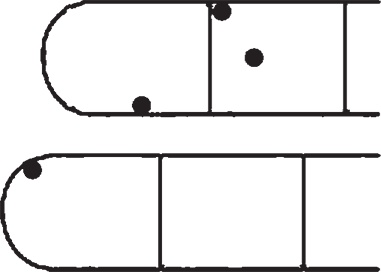 Иллюстрация к книге — Суджок - исцеляющий самомассаж. Основные приемы [autogen_ebook_id25.jpg]