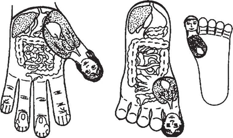 Иллюстрация к книге — Суджок - исцеляющий самомассаж. Основные приемы [autogen_ebook_id3.jpg]